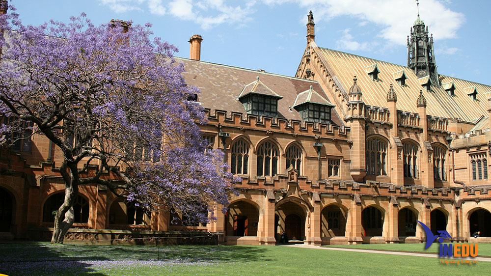 Đại học Sydney Úc