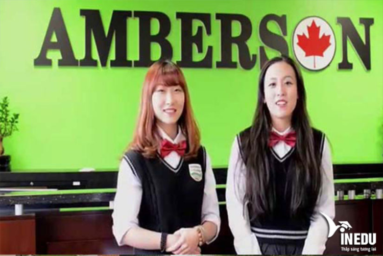 Giới thiệu đôi nét về Amberson