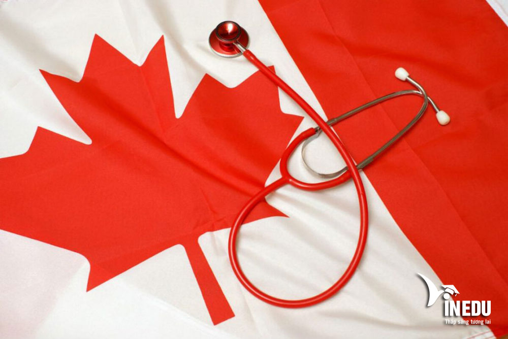 Tại sao nên mua bảo hiểm du lịch thăm người thân đang du học Canada