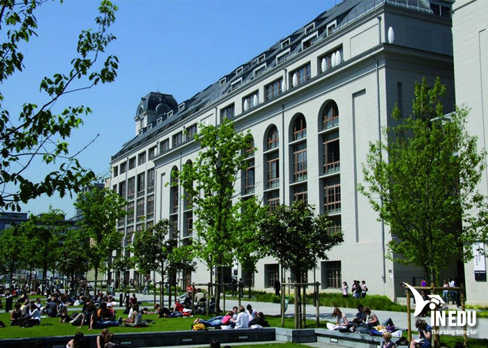 Paris Diderot là ngôi trường đại học được nhiều sinh viên lựa chọn