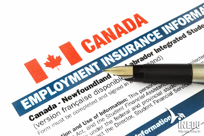 Tìm hiểu về bảo hiểm thất nghiệp Canada - Employment Insurance