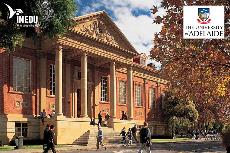 Học bổng 50% trường University of Adelaide - Trường top đầu tại Úc