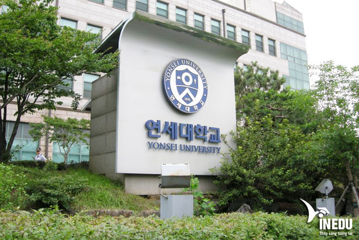 Tuyển sinh khóa tiếng Hàn trường đại học Yonsei - Được ưu tiên visa