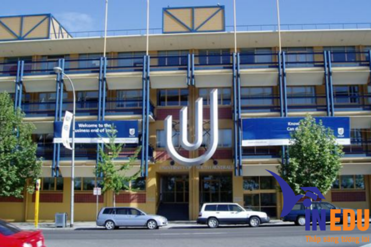 Đại học Nam Úc