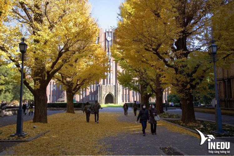 Vì sao nên học tại Đại học Tokyo ?