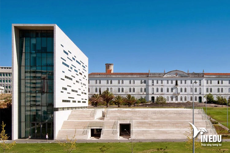 Đại học NOVA de Lisboa – một trong những đại học trẻ nhưng chất lượng
