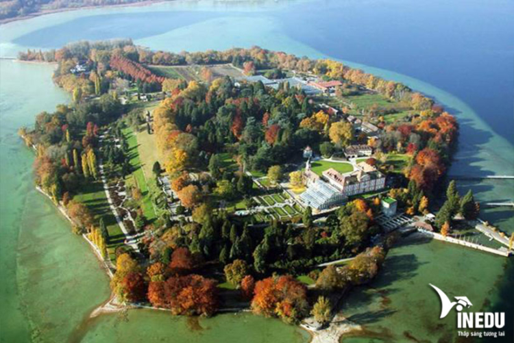 Đảo hoa Mainau