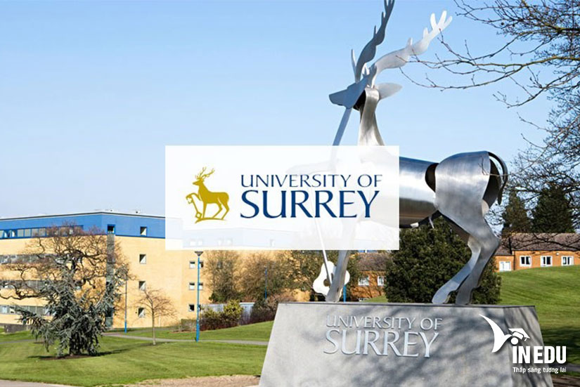 Đại học Surrey - Môi trường du học quốc tế hàng đầu tại Anh quốc