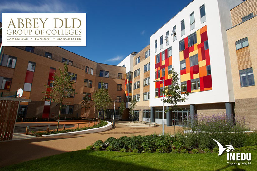 Đại học Abbey Dld - Ngôi trường dự bị hàng đầu tại Anh quốc
