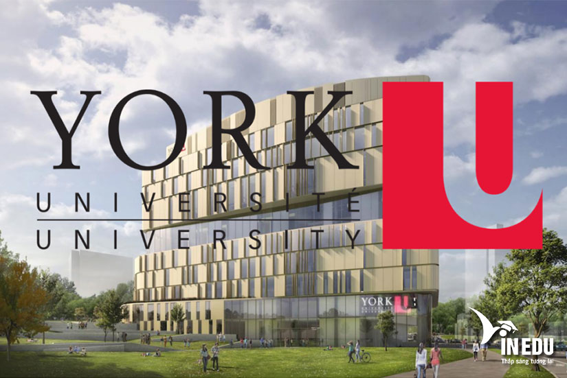 Đại học York, Canada - 1 trong 3 ngôi trường lớn nhất tại xứ sở lá phong