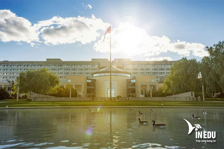 Đại học York, Canada, môi trường học tập đáng mơ ước của sinh viên quốc tế