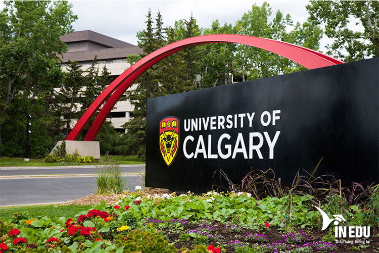 Đại học Calgary Canada - ngôi trường nghiên cứu hàng đầu hiện nay