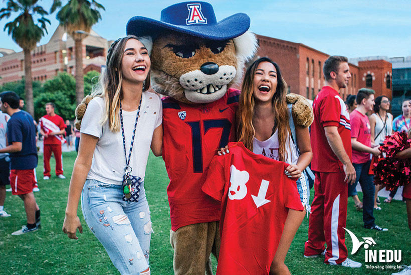 Học bổng 50% học phí từ trường Đại học Arizona, Mỹ