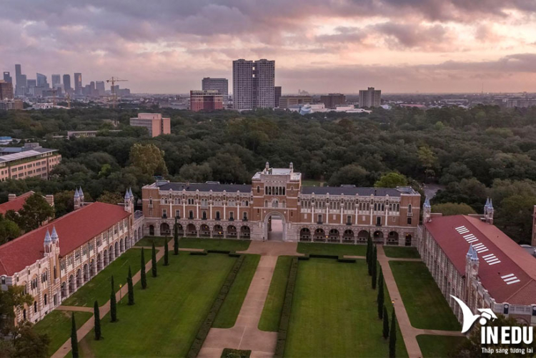 Rice University