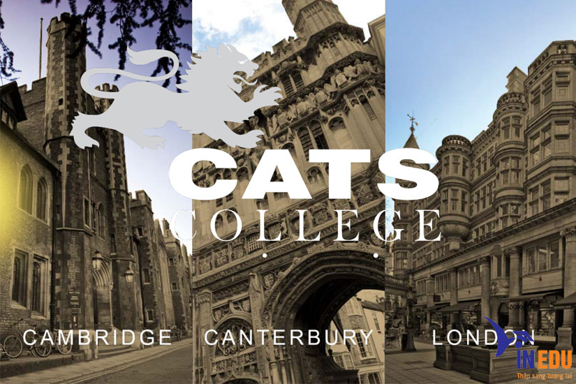 CATS College – Học bổng toàn phần cho học sinh tiềm năng