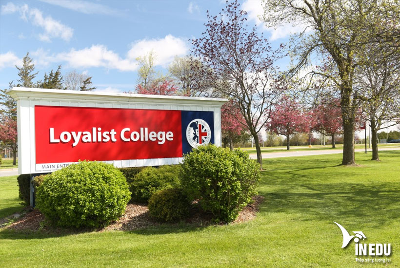 Loyalist College – cao đẳng điển hình ở Ontario, Canada