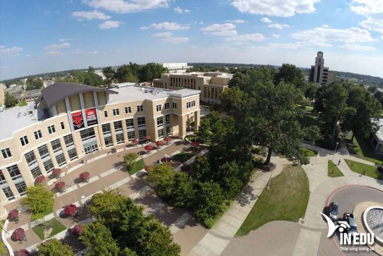 Arkansas State University