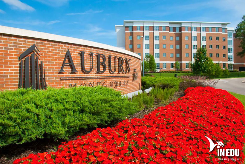 Auburn University at Montgomery – Học phí, học bổng cực hấp dẫn!