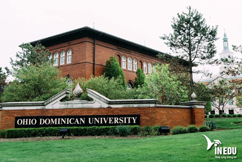 Ohio Dominican University – Học bổng cao, chi phí thấp