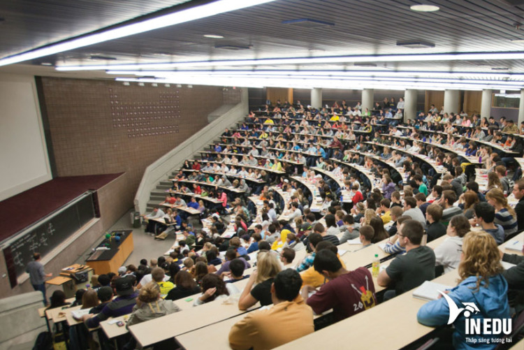 Chương trình đào tạo tại University of Michigan