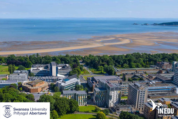 Swansea University