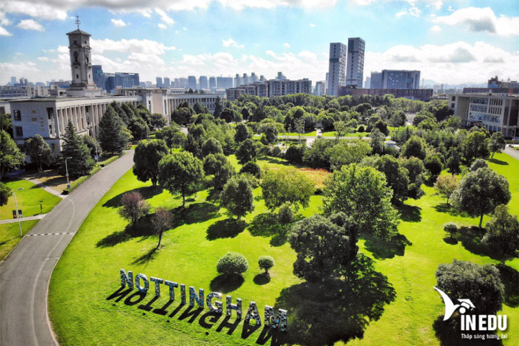 The University Of Nottingham