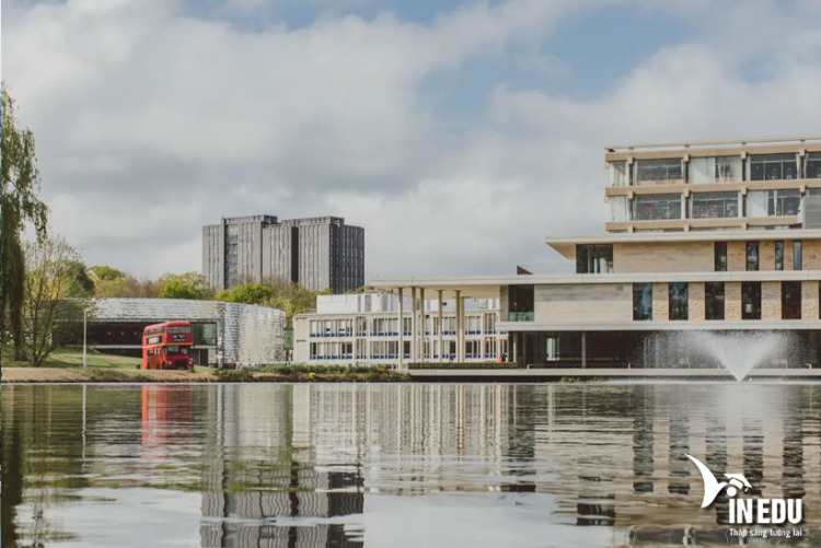 University Of Essex