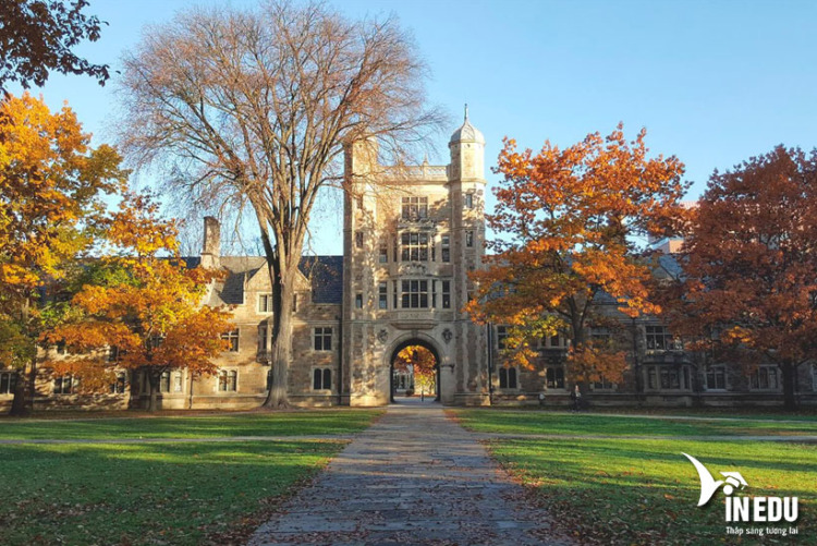 University of Michigan-Ann Arbor