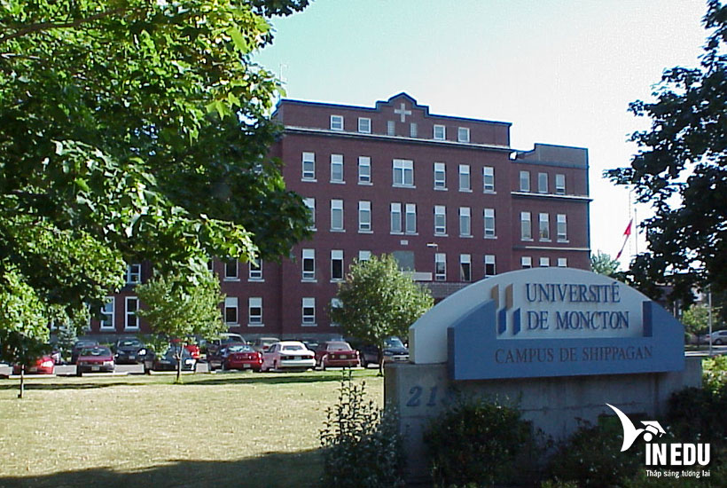 Đại Học Moncton - Université De Moncton – Trường tiếng Pháp ở Canada