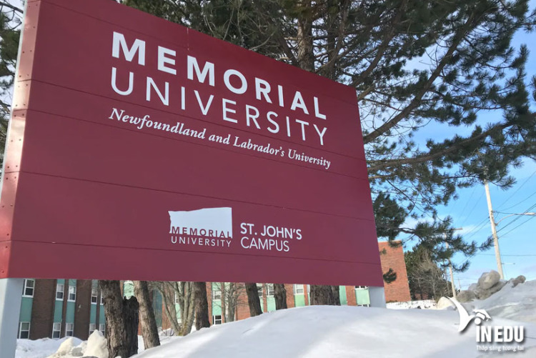 Memorial University Of Newfoundland