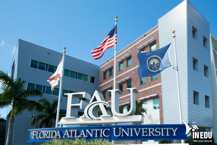 Florida Atlantic University – Chương trình đào tạo, Học phí