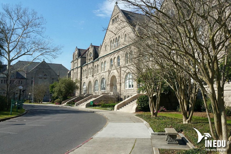 Tulane University