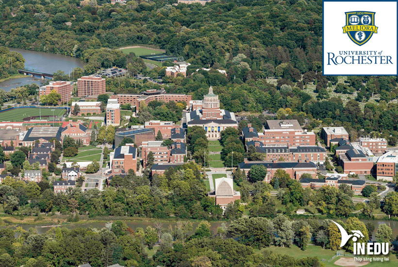 University of Rochester – Chương trình đào tạo, tuyển sinh