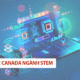 Thông tin về du học Canada ngành STEM – Nhóm ngành Kỹ thuật
