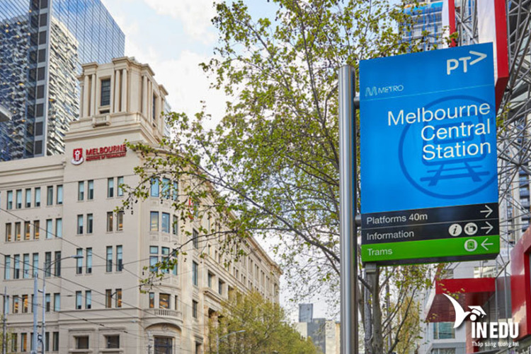 MIT có cơ sở nằm tại trung tâm hai thành phố lớn của Úc là Melbourne và Sydney