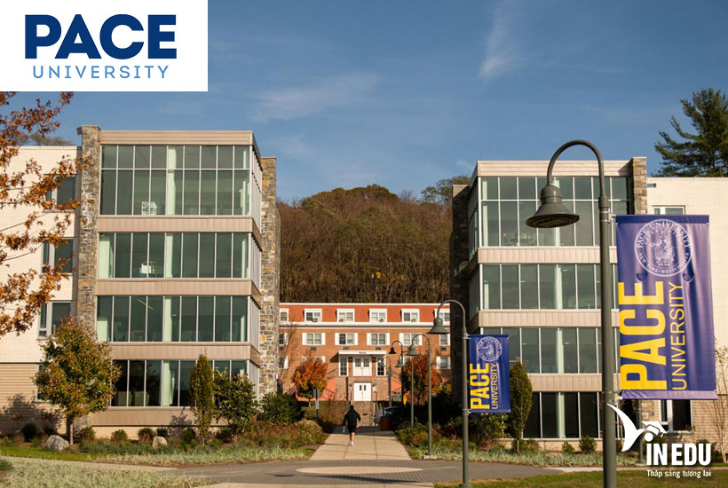 Pace University: Chương trình đào tạo, Học phí, Học bổng