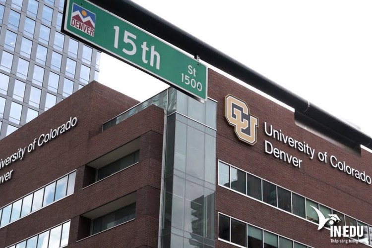 CU Denver - Các trường trực thuộc