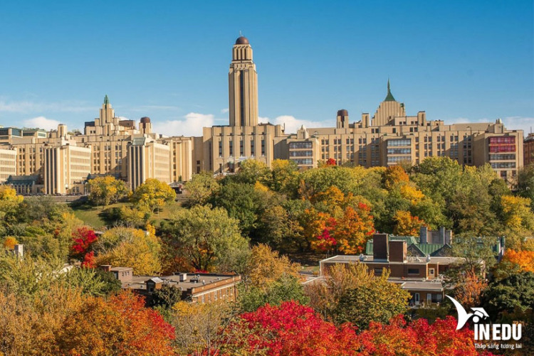 University of Montreal 