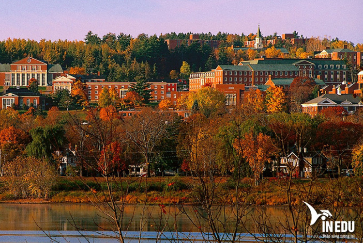 University of New Brunswick