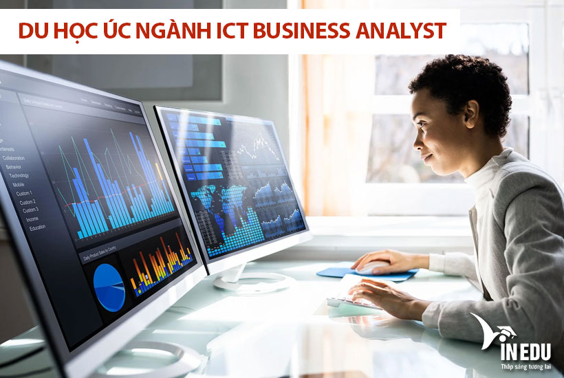 Các thông tin cần biết về du học Úc ngành ICT Business Analyst