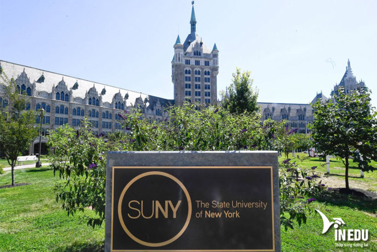 State University New York (SUNY)