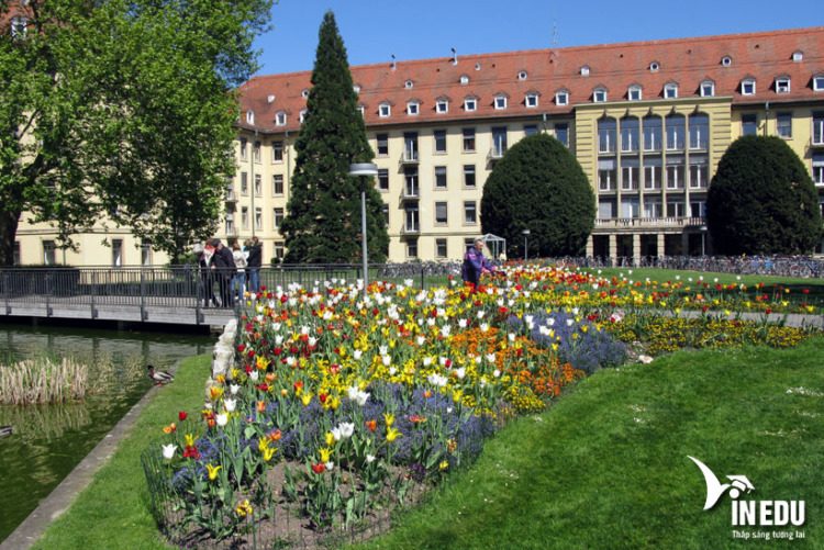 Đại học Freiburg Khoa Y