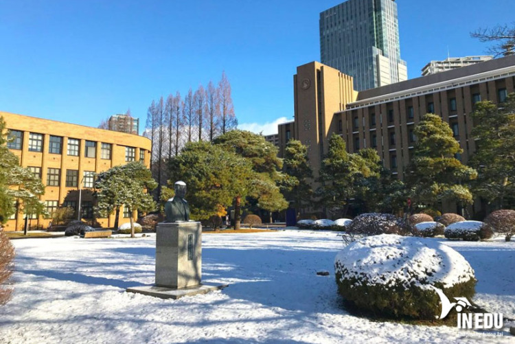 Tohoku University