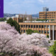Tohoku University – Chương trình đào tạo, Học phí
