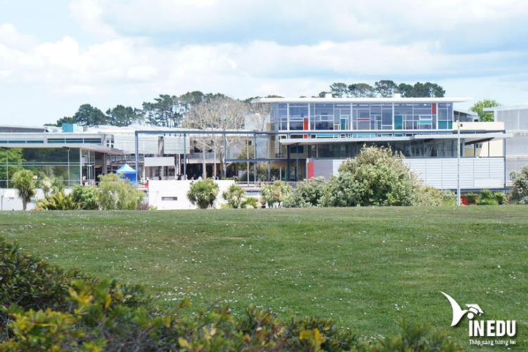 Unitec institute Of Technology