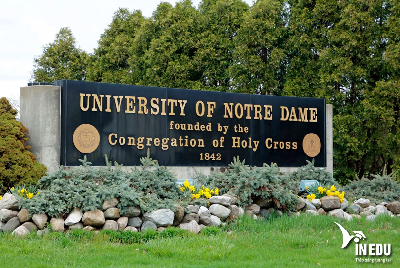 Tại sao nên chọn University of Notre Dame?