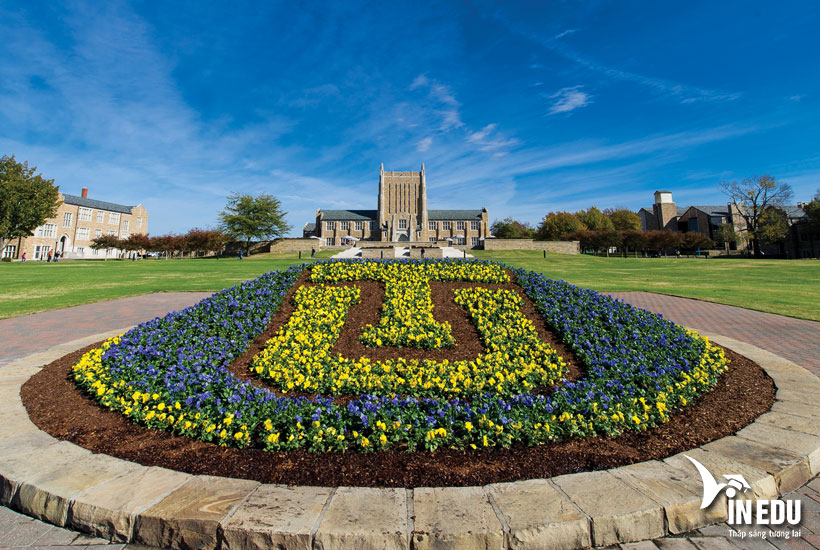 University Of Tulsa