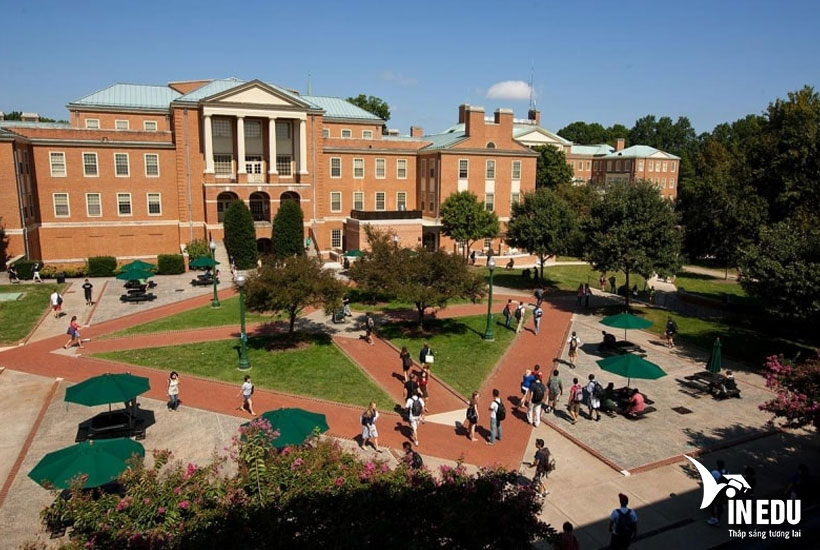 Wake Forest University